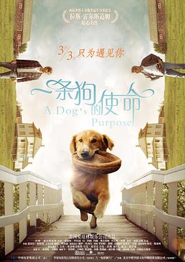 一区不卡av