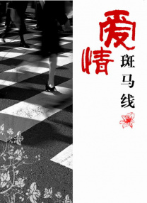 欧美日韩视频一区二区三区